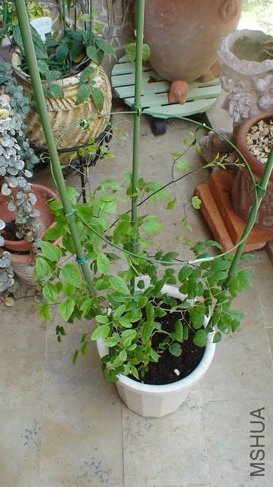 �ֻ��˷����ˣ�����Ǹ�1��5�׵�֧�ܣ����룺��ô��������һ���ӵ�����