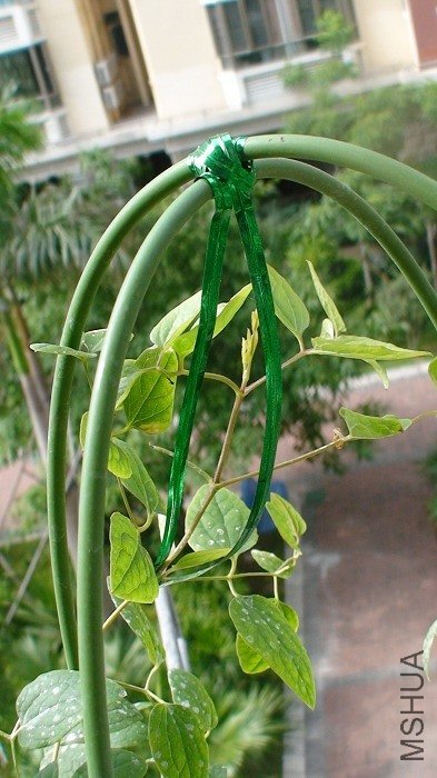 ��ѿ��û��Ӱ�춥�ҵ��������������жཡ����