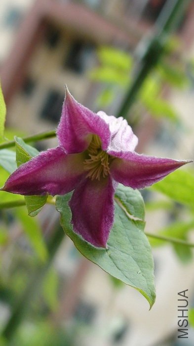 �ٻ����Ƕȿ�����