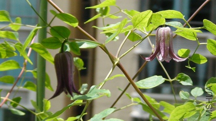 6-26�գ�������!