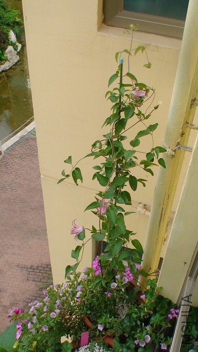 6-23�յ�ȫ���գ�������������ӣ�