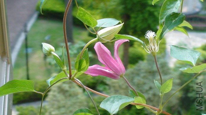 ��֦����л�ˣ��µ�ϣ����������������.