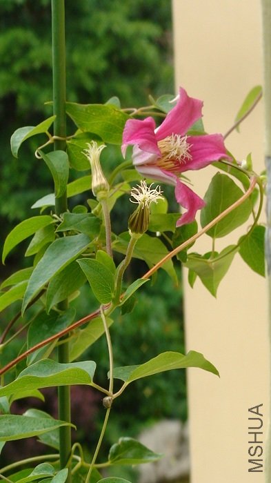 6-25�գ������ʵ��