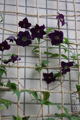 ������С ��ת ��Ƭ 006.jpg