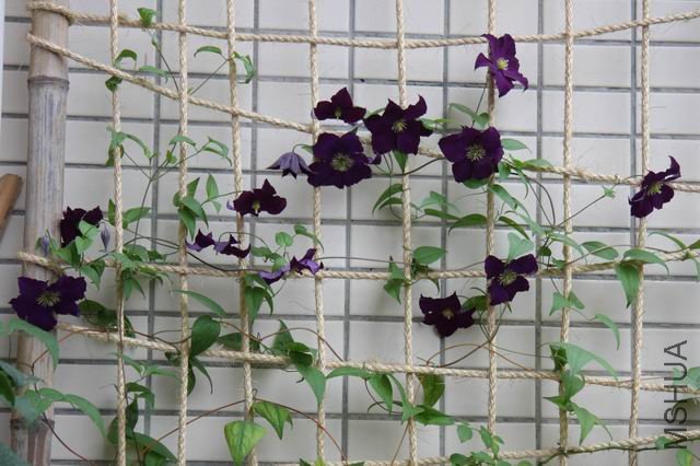 ������С ��Ƭ 017a.jpg