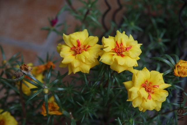 ������С ��Ƭ 013.jpg