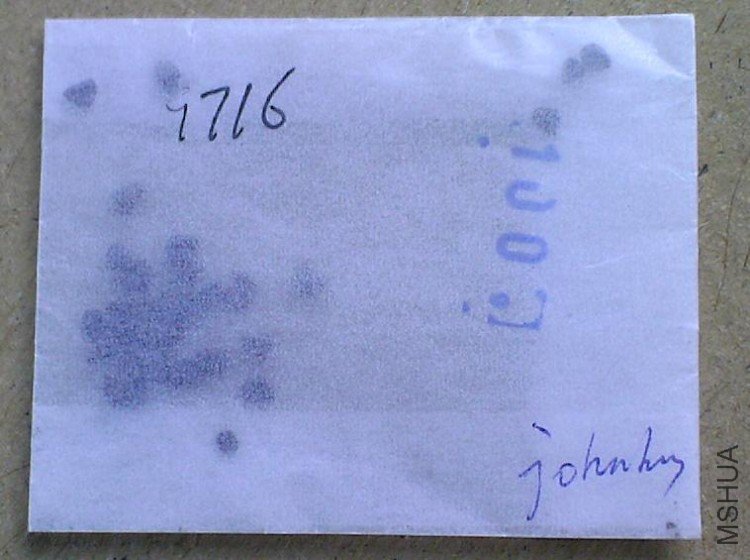 9716.JPG