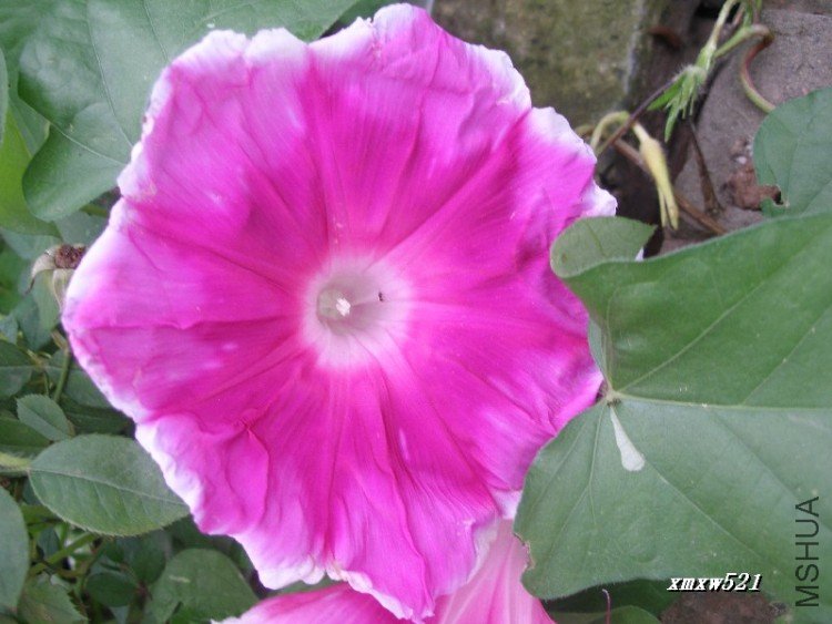 ��֮�����ò�Ư��