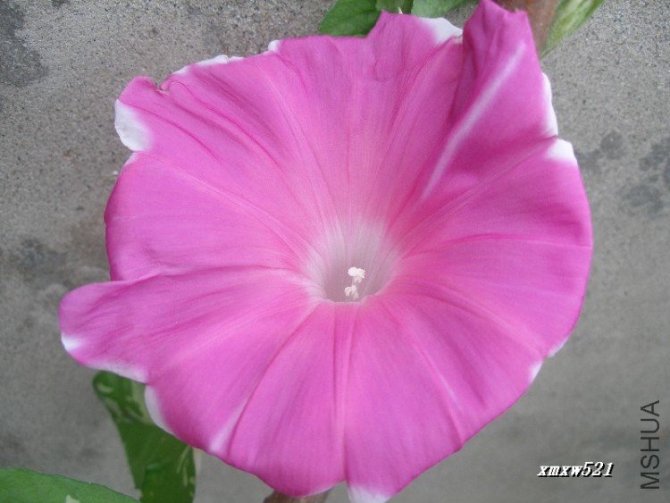 ��ϲ����Ʒ��