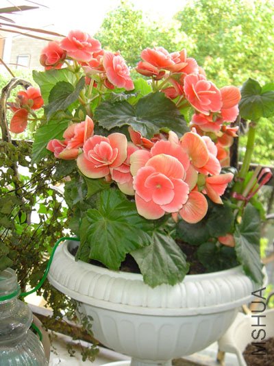 ����6��27���ĵģ�ïʢ���������