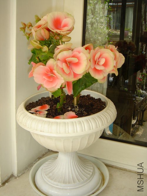 ����3��ʱ�ĵġ�������һ�����£�������඼����~