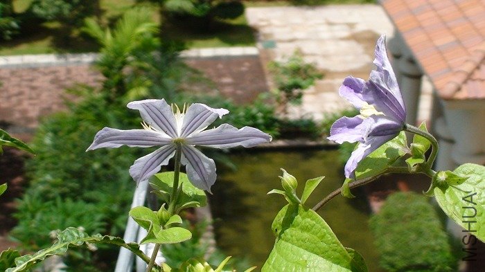 6-26��, ��������, ���Կ���: ���кö��С������!