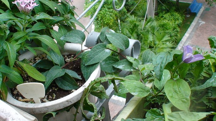 �ٿ���ȫ����!