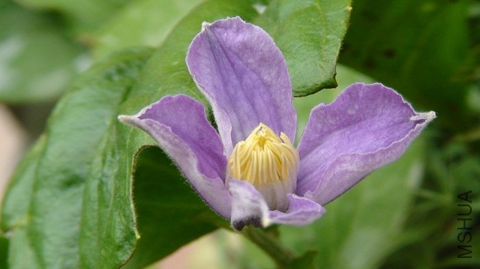 6-8��, ��������!