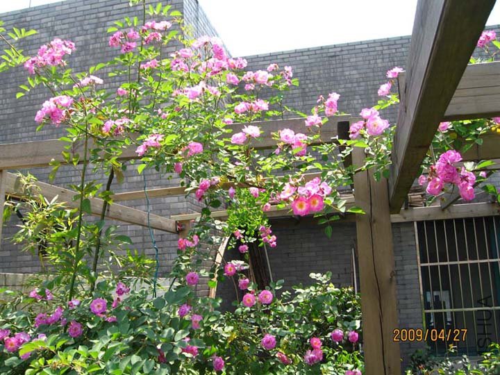 ¶̨����  09-4-23-27 (3).jpg