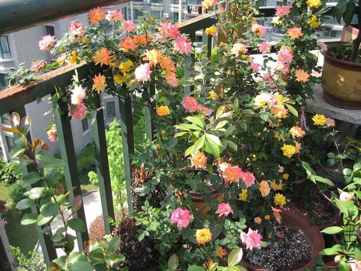 ¶̨���� 09-4-23-26(7).jpg