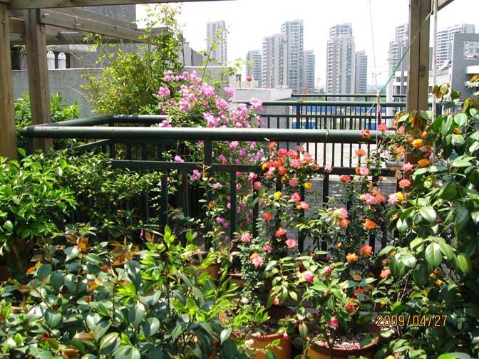 ¶̨����  09-4-23-27 (2).jpg