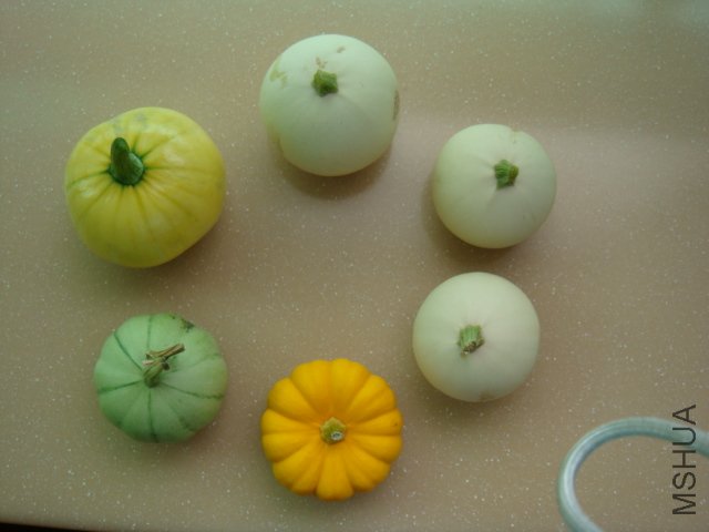 DSC00984.JPG