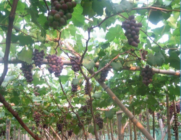 P3.jpg