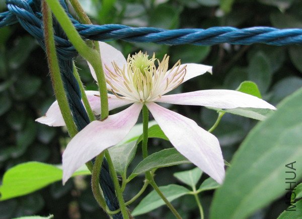 С�� ��׿÷�� 02.jpg