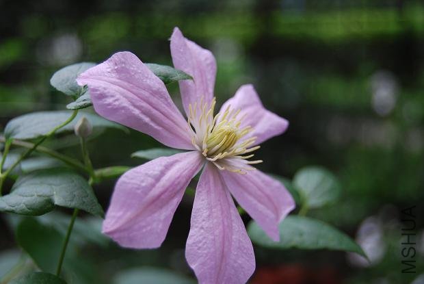 �������˵ĵ����λ�����С��