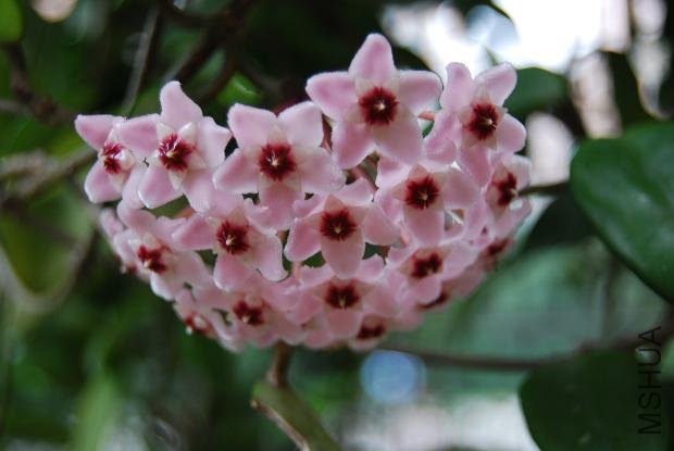 ����Ů����������������һ��ʱ���ָ��һ������ˣ�˵�ֲ��á��������ﾹȻ�������