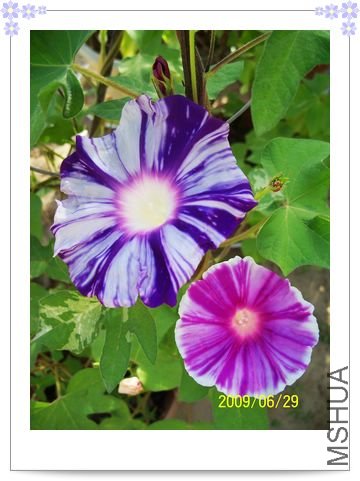 ���տ��� 011.jpg