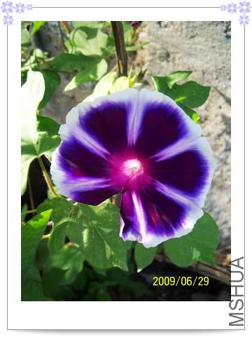 ���տ��� 027.jpg