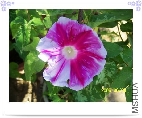 ���տ��� 022.jpg