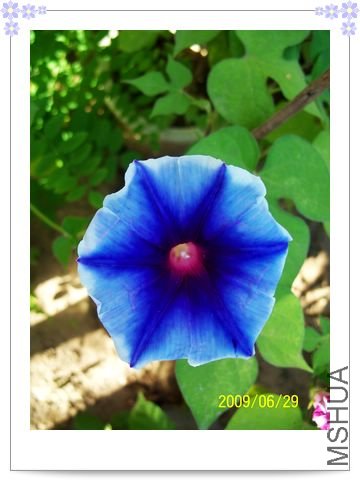 ���տ��� 025.jpg