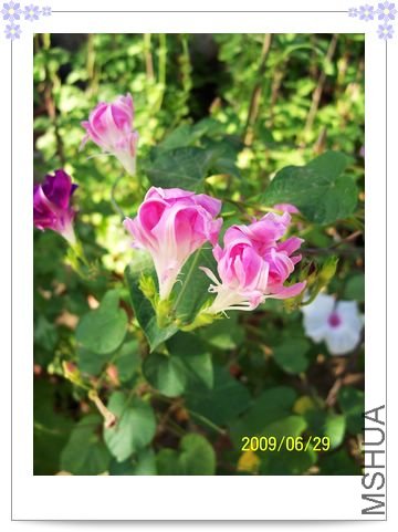 ���տ��� 020.jpg