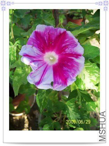 ���Ʒ��һ��ӡ��Ҳû����