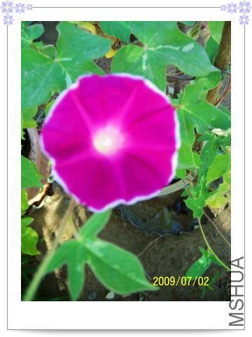 �۰ױ�--С��