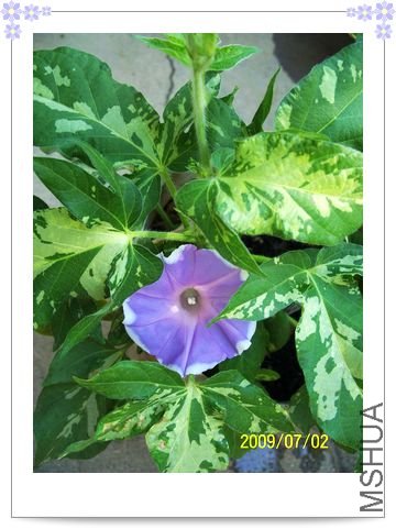 ���տ��� 049.jpg