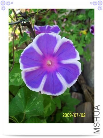 ���տ��� 051.jpg