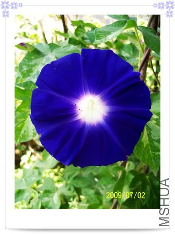 ���տ��� 036.jpg