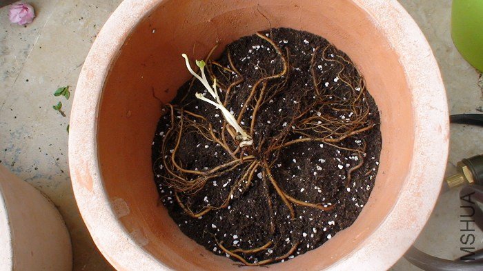 ������!  ��ʱ����ѿ����С�����治����Ϊʲô�³���ѿ����ϴε�һ����Ļ�ҪϸЩ��