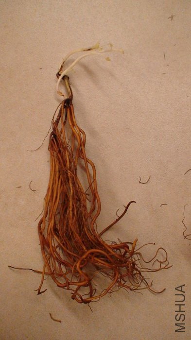 4-16�գ���ʱ�ĸ�ϵ. ��׳��! ������ĸ�ϵ�Ǳ�һ����ǿ��!