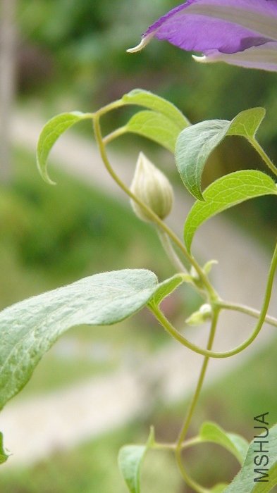 6-23�գ����������������Ѿ����Գ����˺ܶ࣡