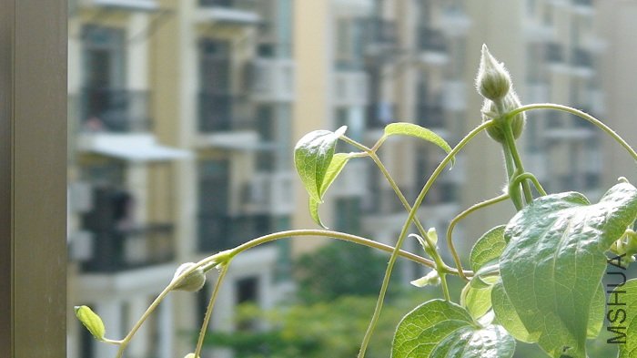 6-19�գ������ȵĻ�����һ������ߵľ����ˣ�