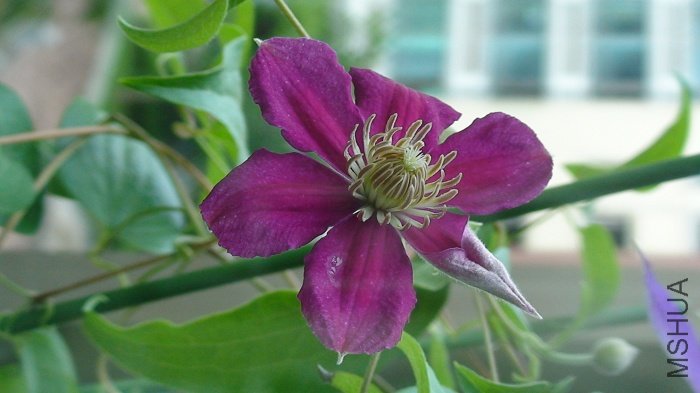 6-27�գ�����������������