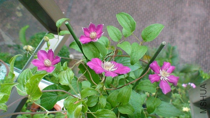 7-4�գ�̨������˻���ĵ�л�������Ѿ�л�ˣ����¿����Ķ䣡