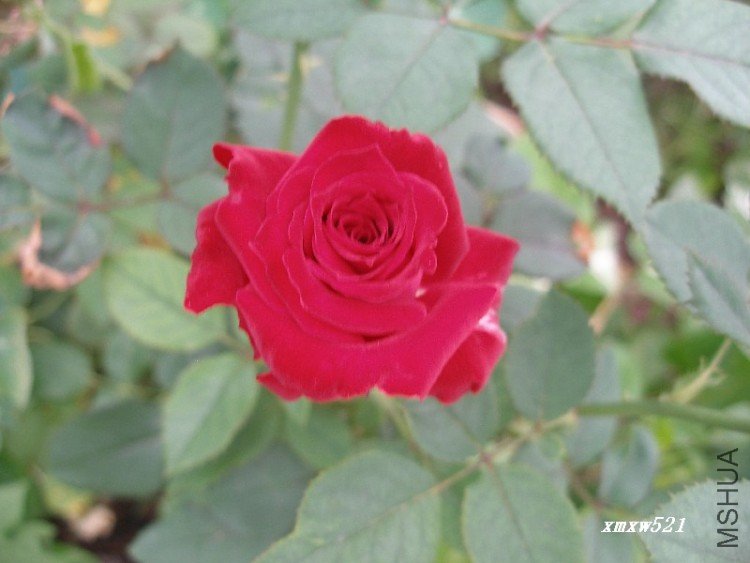 ��֪�����¼�