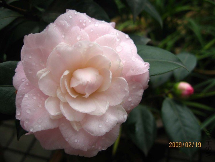 ţ�������� 09-2-9(1).jpg