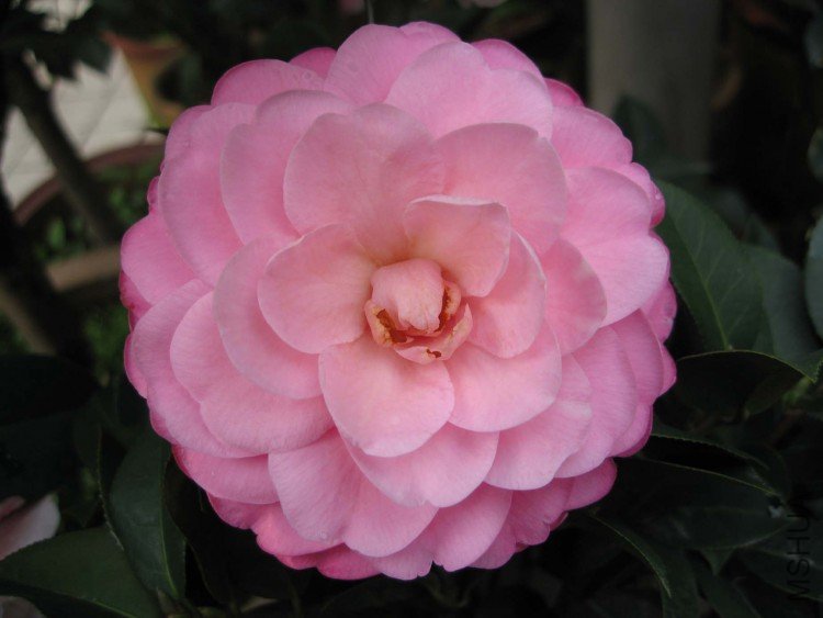 ��԰ 09-3-22 (2).jpg