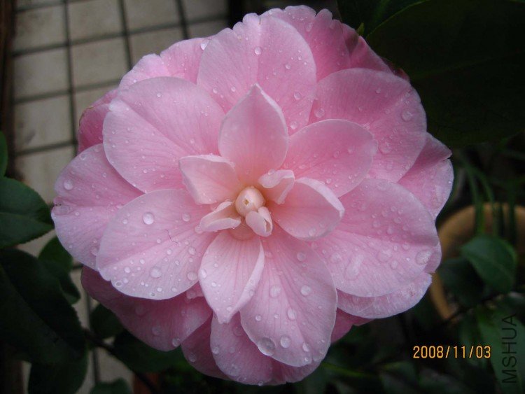 ��ά��С�� 08-11-3.jpg