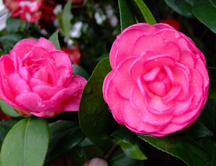 �δ� 09-4-5 (3).jpg