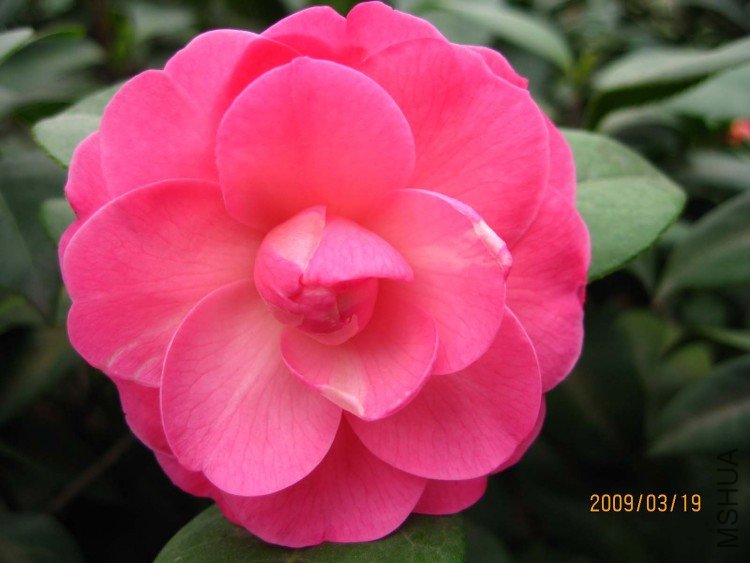 �δ� 09-3-19 (1).jpg