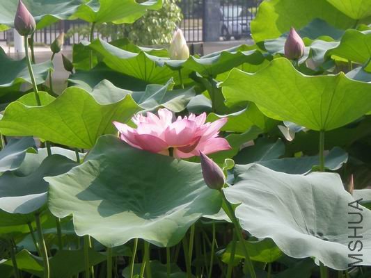 ������С 7.20 055.jpg