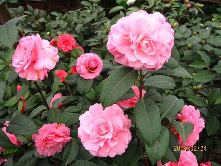 ��������09-2-24 (2).jpg